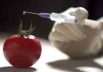 Борьба с ГМО в России набирает обороты