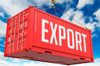 Правительство РФ упростило порядок вывоза отдельных видов товаров из России