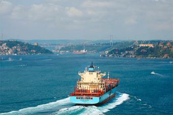 Транспортная компания FESCO поставила второе судно для работы на маршруте между Новороссийском и портами Индии